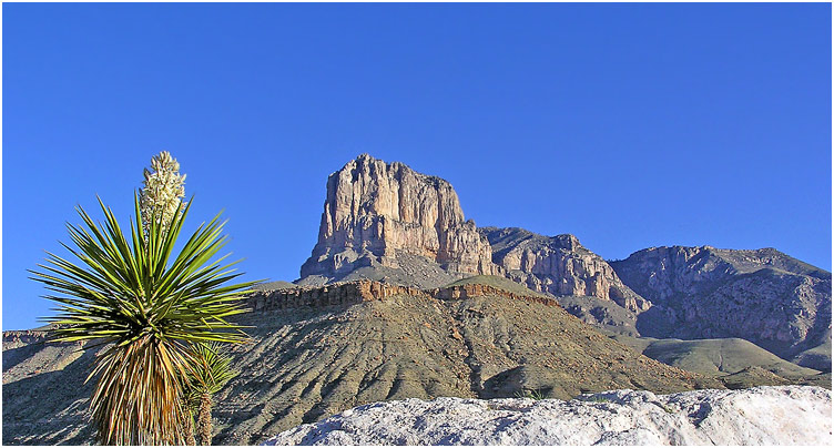 Национальный парк "Guadalupe National Park". За пиком (2423м) находится самая высокая вершина Техаса - пик Гвадалупе ( 2667м.) Слева на кадре - цветущая юкка